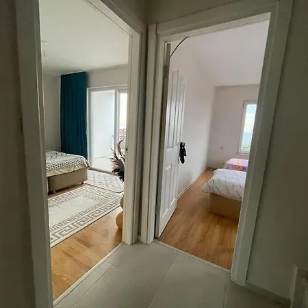 فيلة Selfhomes