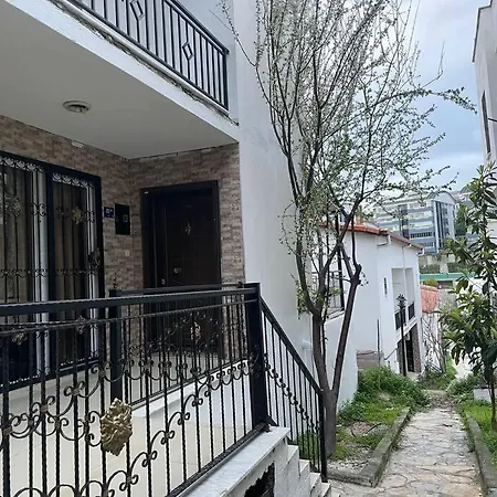 Selfhomes فيلة أيدين