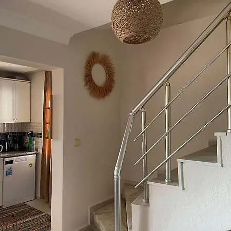 فيلة Selfhomes *