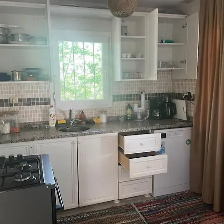 Selfhomes أيدين
